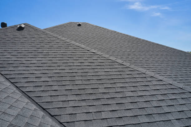 Best Sheet Metal Roofing  in La Fayette, AL